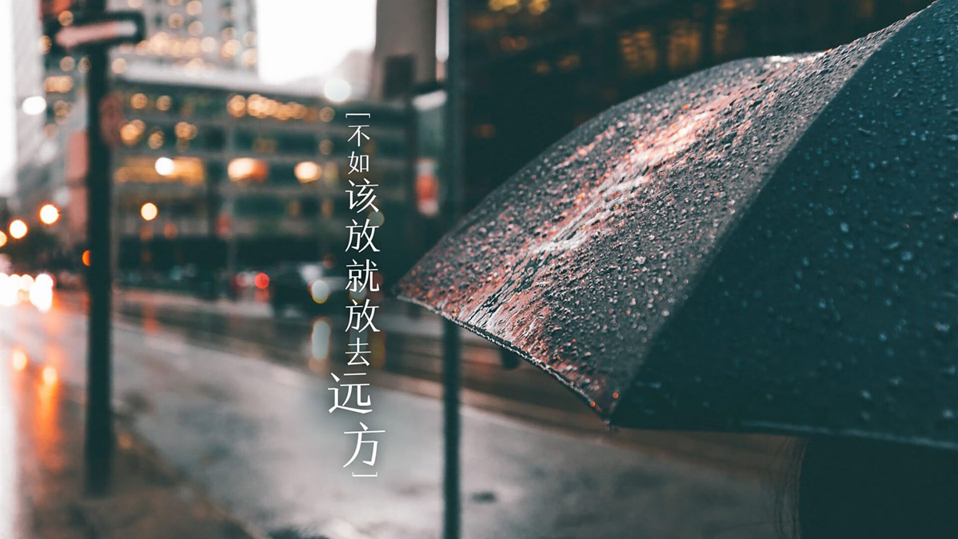 逆风而行：那些逆境中崛起的赫赫车手