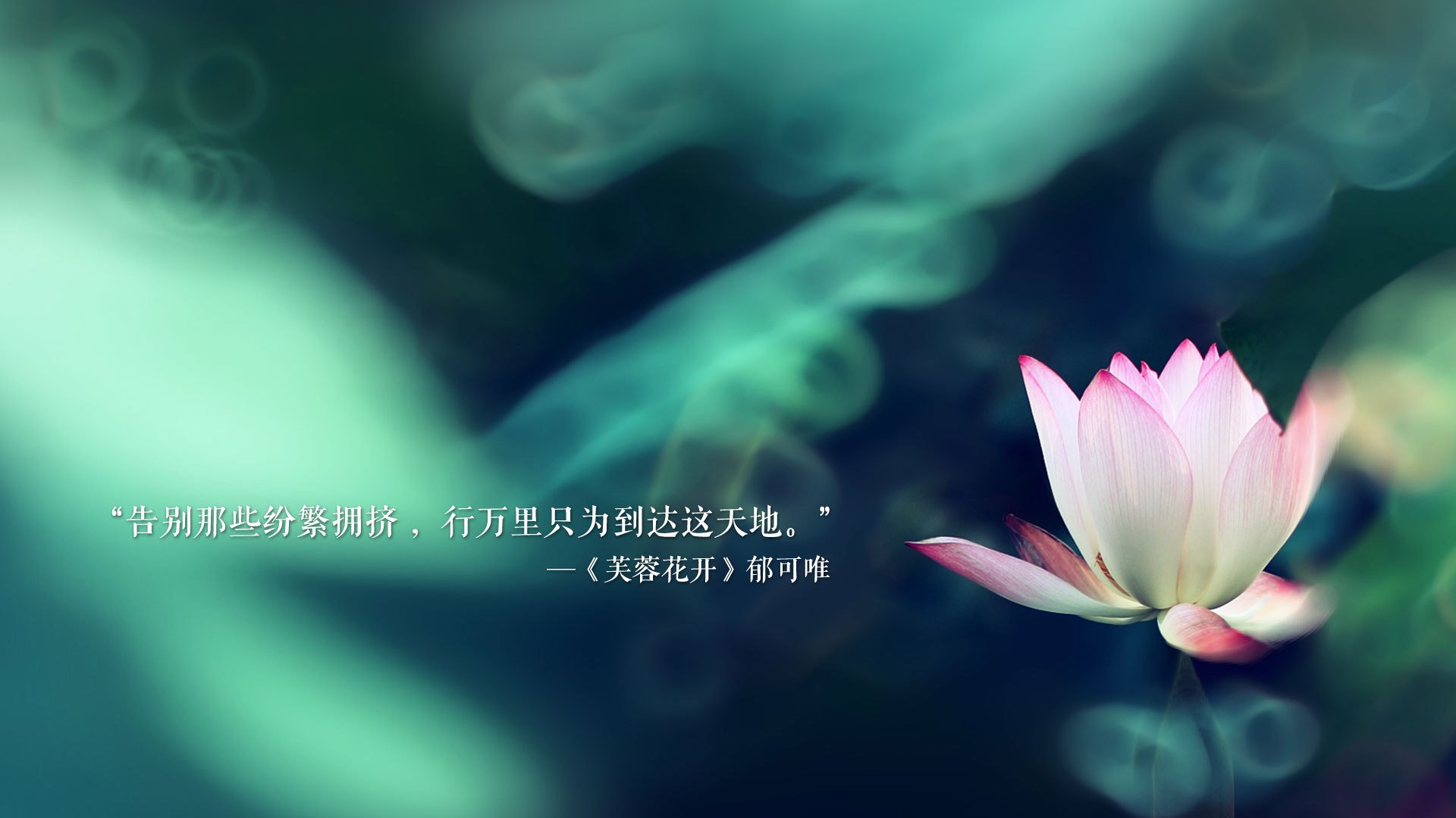 传中成功率是否比射门转化率更能反映锋线配合默契