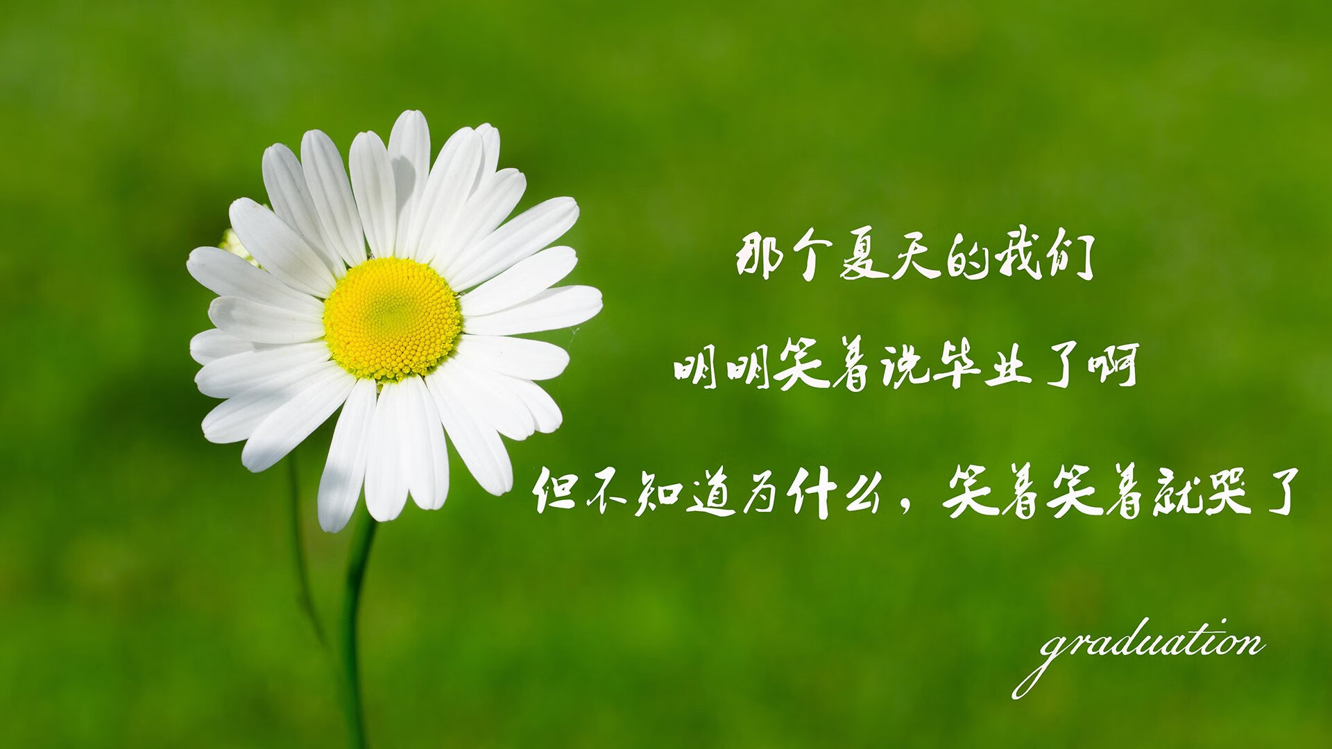 加拿大乒乓队未来展望：打造全面发展的世界级队伍，加拿大乒乓球组合