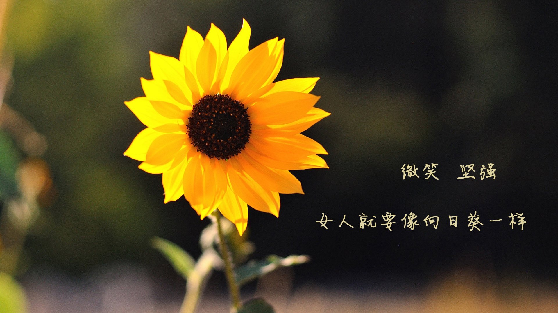 赫塔菲门将高接低挡力保球门不失，赫塔菲最近战绩