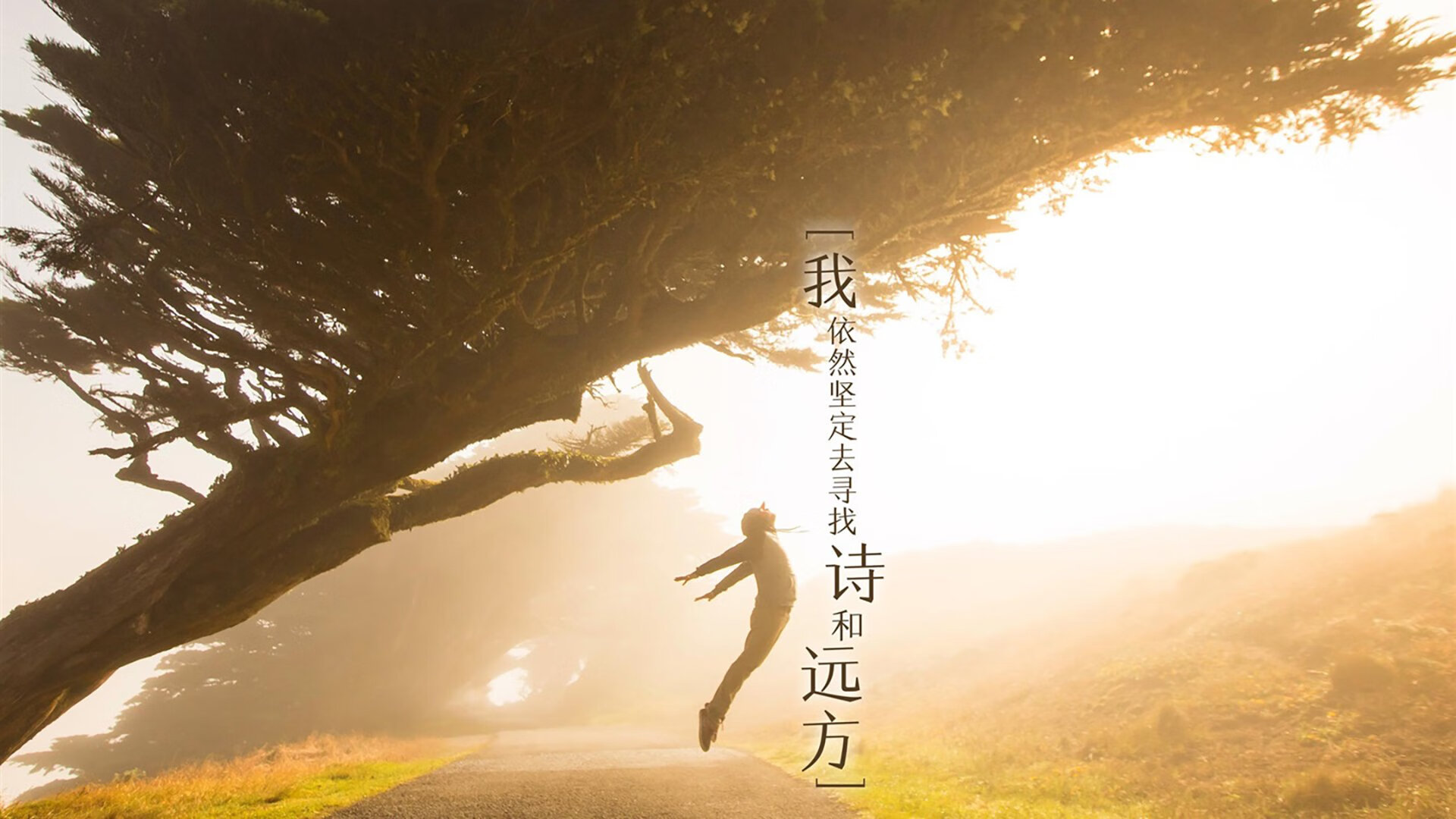 意甲超级团队：配合默契令人称奇，意甲俱乐部