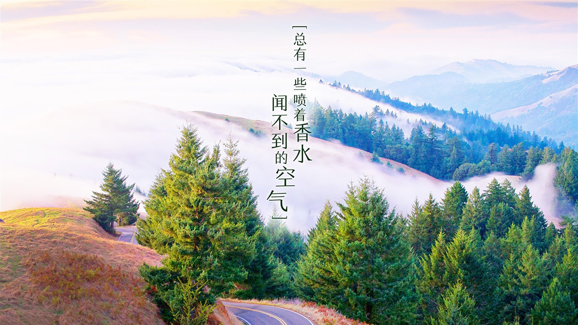 比利时男篮在欧洲锦标赛中争取奖牌，球队实力不断增强，比利时男篮厉害吗