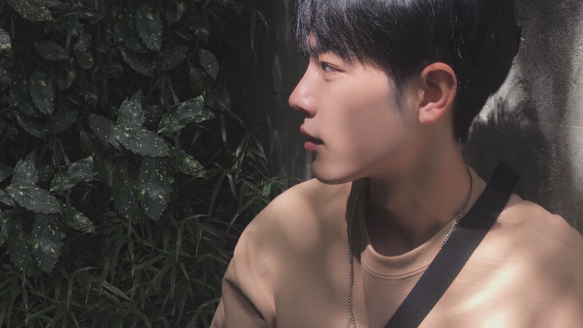 爱游戏登录入口-澳大利亚橄榄球的复兴计划，如何走向国际舞台巅峰？，澳大利亚橄榄球比赛规则